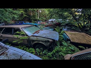 Rare Collection of Classic Cars Sadly Abandoned in the Woods w/Story