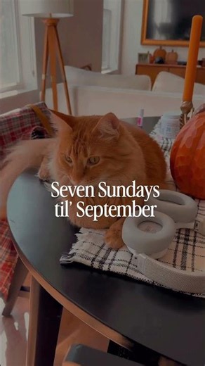 Autumn is coming! #fall #halloween #autumn #cozyvibes #aesthetic #bermonths
