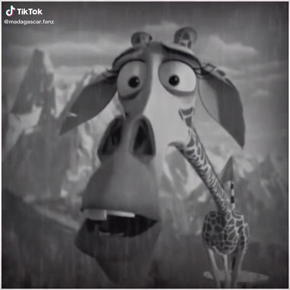 Gloria was always there for melman… #madagascar #madagascarchallenge #ship #shipedit #sad #sadedit #edit #gloriamadagascar #melmanandgloria #melmanxgloria #melmanmadagascar #viral #fyp