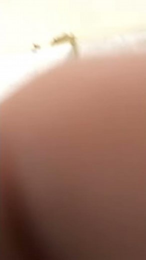 OVO Gas Smart Meter - Check Your Credit