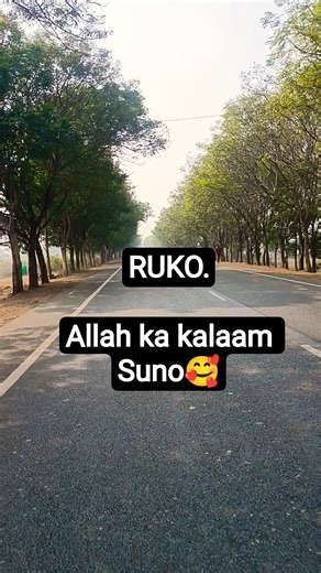 Power of Surah falaq ✨ | Surah Falaq peaceful recitation | #surahfalaq #quran #surah #shorts