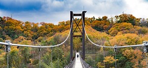 Best Places in Japan for Stunning Fall Colors (2024)