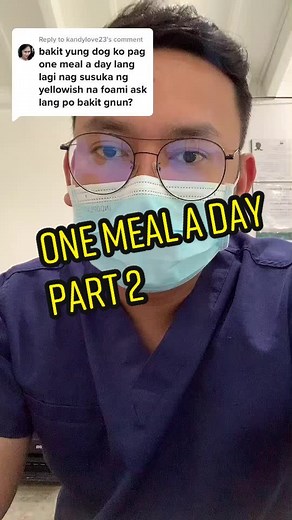 Understanding Yellow Vomit in Dogs - Causes and Solutions