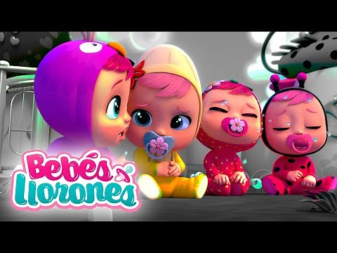BEBÉS LLORONES 💦 LÁGRIMAS MÁGICAS 💕 Episodios Completos para NIÑOS en español