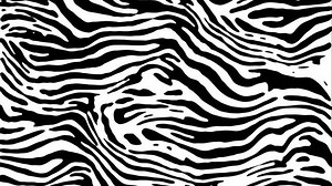 Black White Zebra Pattern Animation Stock Footage Video (100% Royalty-free) 1026552026 | Shutterstock