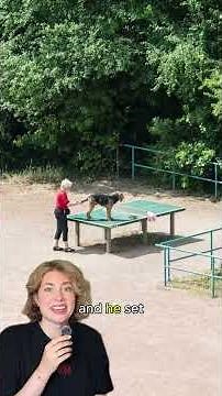 The Ping Pong Table Watched for 4 Years