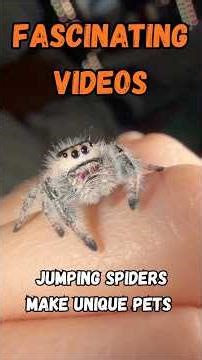 interesting videos You’ve Never Seen Before From Around the World