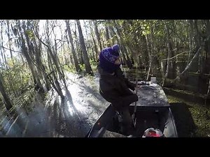 Go Devil Long Tail in Maurepas Swamp WMA (GoDevilGod)