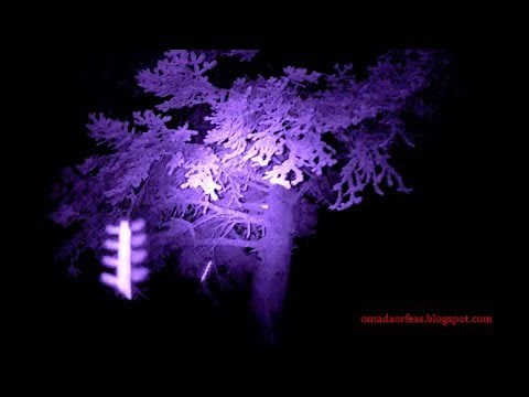 FASMATIC ENTITIES/FLYING RODS CAUGHT ON CAMERA AT MOUNT TAYGETUS