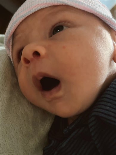 Stephanie Rodriguez on Reels