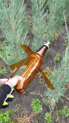 4.5M views · 40K reactions | Plastic Bottle & Tin Can Garden Hack: DIY Bird & Mole Repellents! #diy #skills #tips #tricks #lifehacks #howto #outdoors #backyard #garden | Crafty Fixer | Facebook