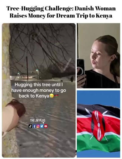 Tree-Hugging Challenge: Danish Woman Raises Money for Dream Trip to Kenya 🎥:@Annalaurasonne #trendingkenya #nairobitiktokers #tiktokkenya #goviral