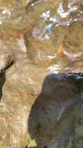 Discover the Beauty of Cascading Waterfalls in Nature