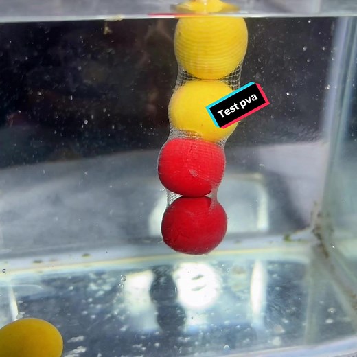 Test pva mesh soluble or melt ?#pvamesh #pvabagfishing #carpfishing #fishingtips #fishingtips😎🔥✌️🎣🎣🎣 #solidpvabag #fyq