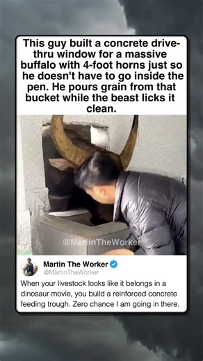 FEEDING A 2K POUND MONSTER THROUGH CONCRETE