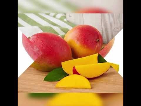 Different types of mango varieties in india