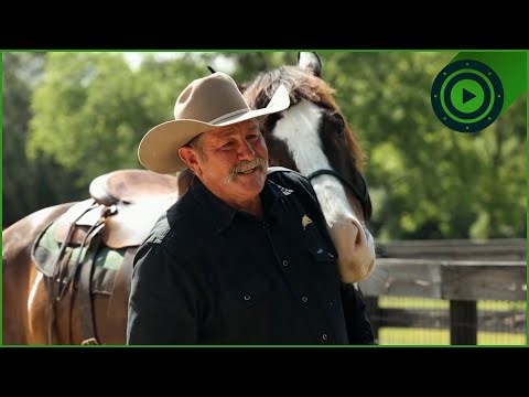 Pat Parelli's Best Horse Training Techniques
