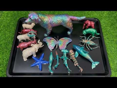 Happy Learning Animals | Dog, Elephant, Cat, Butterfly & Happy Kids Time