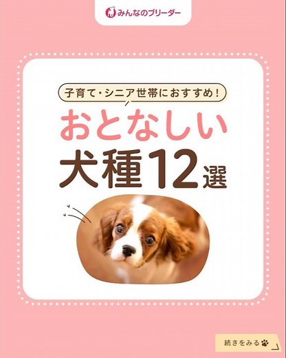 穏やかなところが魅力♡おとなしい性格の犬種12選 #shorts