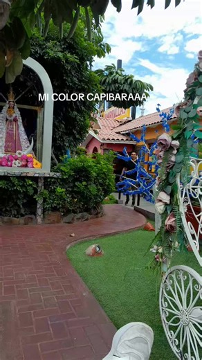 te amo sjjs @Corazón Serrano Perú