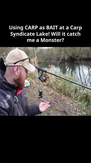 Using CARP Bait at a Carp Syndicate Lake