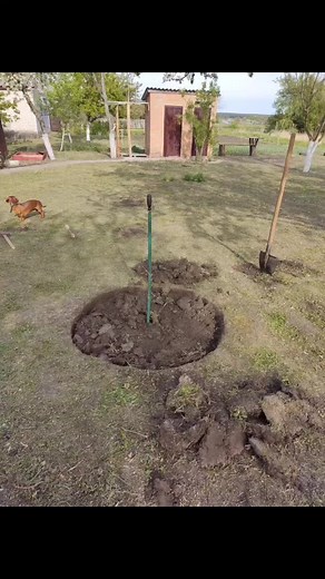 Building an Outdoor Fire Pit: Step-by-Step Guide