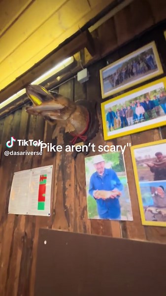 Exploring the Fascination of Pike Fishing