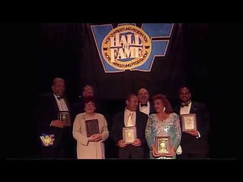 1995 WWF Hall of Fame Video