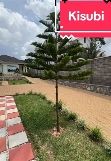 Beautiful Cottages for Rent in Kisubi, Entebbe