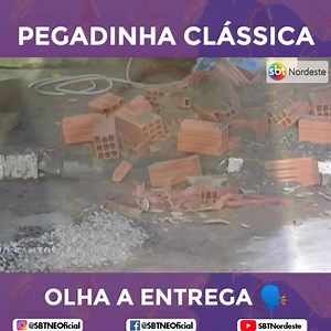 5.5M views · 71K reactions | O Ivo Holanda tem uma entrega pra lá de especial para tu! Aperta o play e vem conferir no #SBTNordeste! #ls | TV Jornal Interior | Facebook
