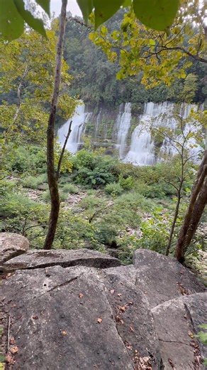 Christopher L. Nelson on Reels