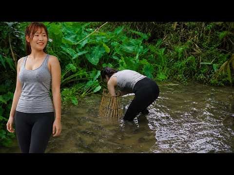 Harvest Fish: Smart Mountain Girl Catches Big Fish with Homemade Bamboo Traps