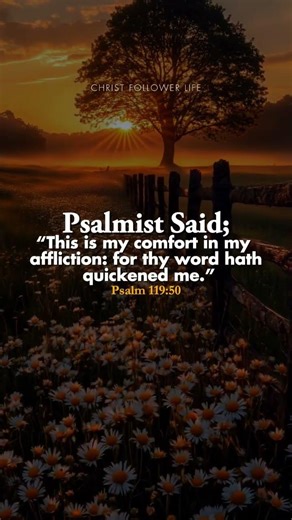 My Comfort in Affliction ✨ | Psalm 119:50 | Revived by God’s Word #faithdome #quotes #jesus #love