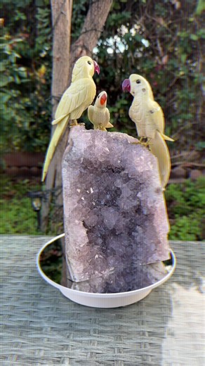 A one-of-a-kind statement piece ✨ This natural amethyst druzy cluster features three hand-carved parrot figurines perched atop sparkling lavender crystals. The contrast between the raw stone base and the delicate crystal points makes this an eye-catching décor piece for collectors and crystal lovers alike. Each detail is naturally formed and completely unique — no two pieces are ever the same. A true conversation starter and an artful blend of nature and craftsmanship. 📍 Perfect for luxury home