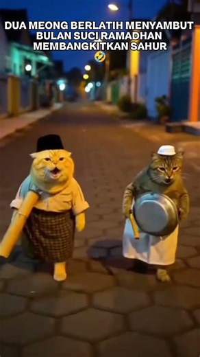 TWO CATS Wake Up Sahur 🐈🤣 #shorts #funny #cat #ramadan