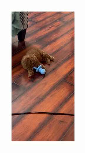 Of course he’s excited! His new pacifier is as big as his whole head!