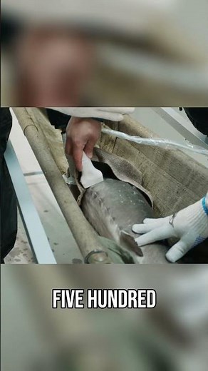 Grow Fish for Profit Sturgeon, Caviar, and More! Aquaculture Secrets