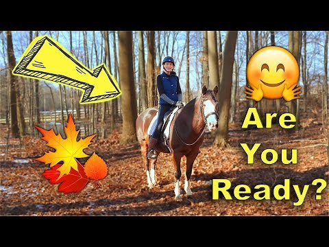HORSEBACK TRAIL RIDING TIPS FOR SAFETY 🐴