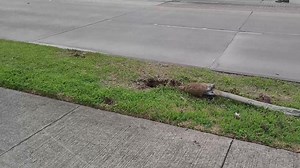 3.1K views · 26 reactions | One person taken to the hospital with unknown injuries after a collision with Lake Jackson Medic 2 ambulance. The ambulance did not have a patient at the time of the accident. EMS personnel were uninjured. | Brazoria County Scanner | Facebook