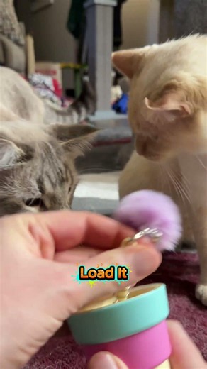 Fuzzy Ball Launcher Cat Toy!