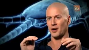 Monster Bug Wars- Scorpion vs. Centipede