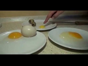 Poznaj różnice między jajkami