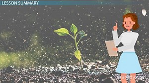 Evapotranspiration: Definition, Formula & Calculation