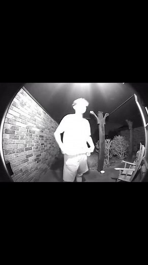 My Son Thinks He’s Gibby From iCarly🙄