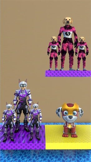 LET'S FEEL THE MELODY OF 🐶AND 🐶AND DANCE TOGETHER #dog #funny #shots #cute