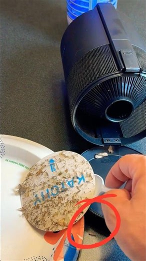 I Spilled a Bunch of Bugs🪰🤢