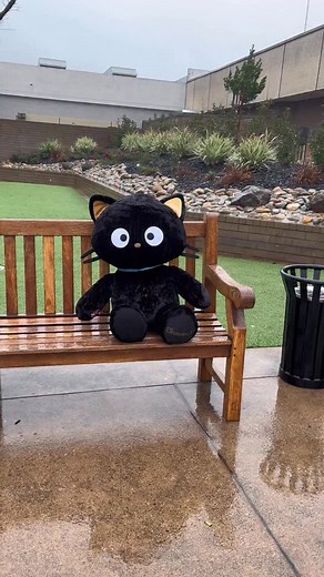 11K views · 34 reactions | What are your thoughts on Chococat? Let me know in the comments below @sanrio @buildabear #chococat #sanrio #buildabear #plushies #relatable | Heavenlys Dolls | Facebook