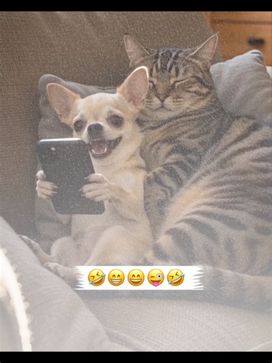 𝗥𝗲𝗽𝗼𝘀𝘁𝗲𝗱 𝗠𝘆 𝘃𝗶𝗱𝗲𝗼 𝗳𝗿𝗶𝗲𝗻𝗱𝘀💞 𝘃𝗶𝗲𝘄𝘀 𝗽𝗿𝗼𝗯𝗹𝗲𝗺😕#newaccount #unfreez #tiktokpakistan #Hadiqaeditx #songaesthetic
