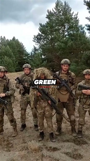 The Weirdest Reason The Vietnam War Started! 🤯🇻🇳 #shorts