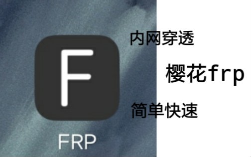 frp安卓客户端教程